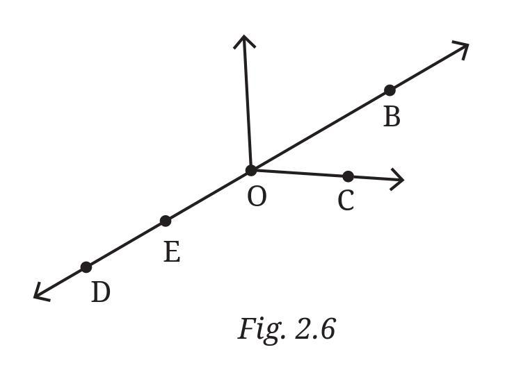 Figure it Out (Page 15 - 17) Ques 5 Chapter 2 Class 6th NCERT (Ganita Prakash)
